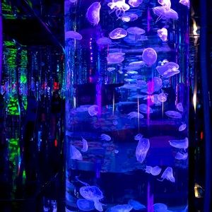 I’m very flexible and will consider all reasonable offers.